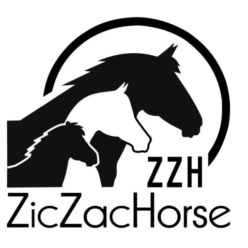 Ab ZicZacHorse Oy